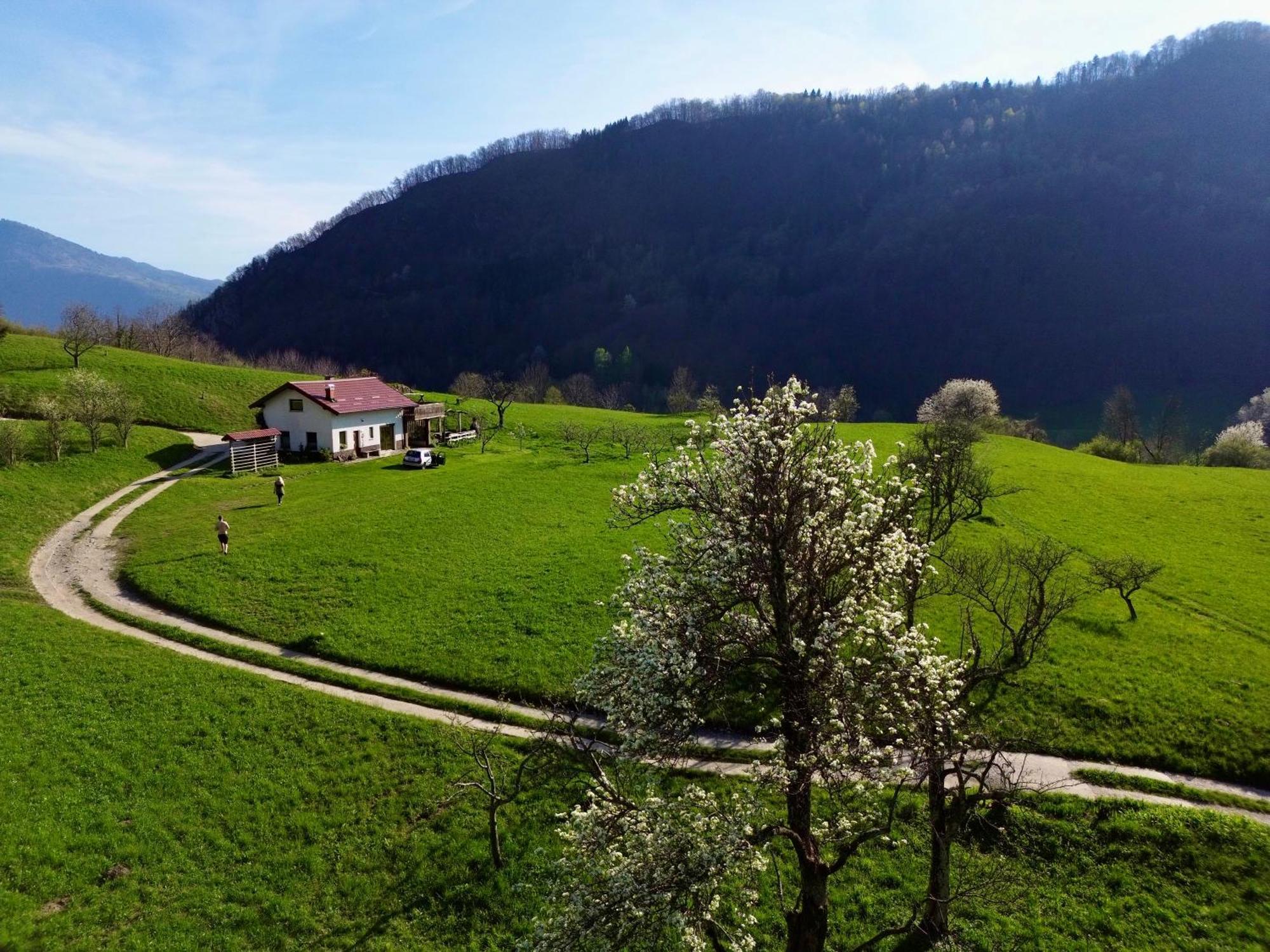 Holiday Home Krn&Relax Kobarid Εξωτερικό φωτογραφία