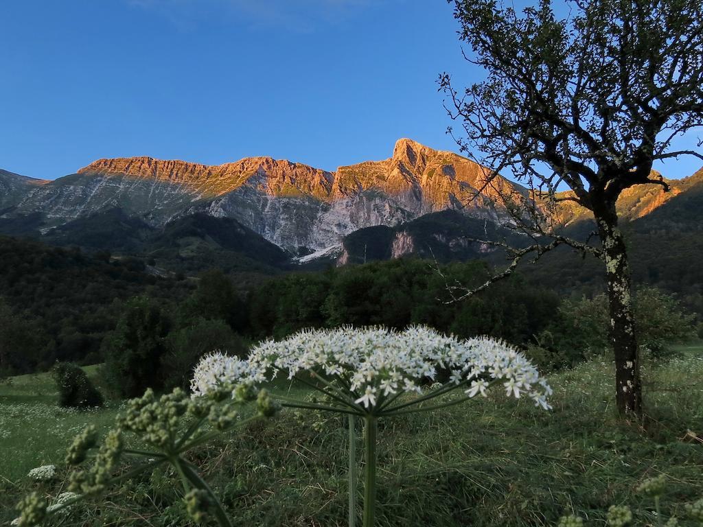 Holiday Home Krn&Relax Kobarid Δωμάτιο φωτογραφία