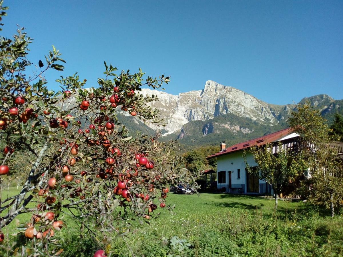 Holiday Home Krn&Relax Kobarid Εξωτερικό φωτογραφία